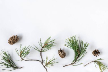 Noel ya da yeni yıl için beyaz bir zemin üzerinde doğal çam dalları ve kozalaklarla çevrili kış şenlikli arka plan modeli. Üst görünüm, alanı kopyala.