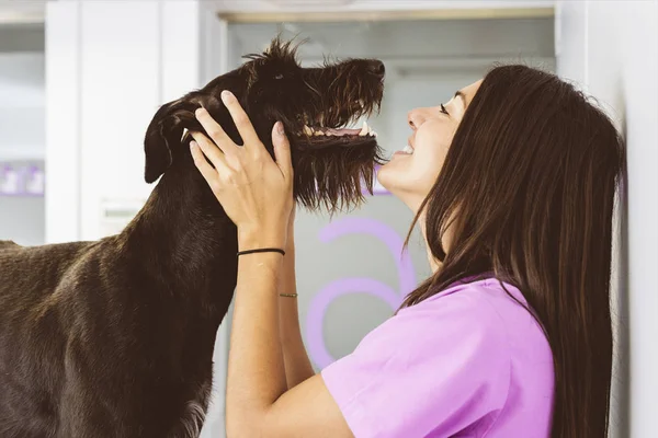 Врач Ветеринар Обнимает Красивую Собаку Ветеринарная Концепция — стоковое фото