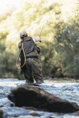 Sinek balıkçı güzel nehirde flyfishing çubuk kullanarak