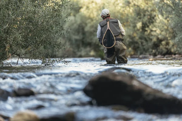 Sinek balıkçı güzel nehirde flyfishing çubuk kullanarak
