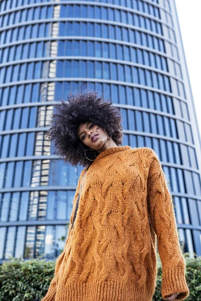 Porträt Einer Attraktiven Afrofrau Auf Der Straße Frisurenkonzept — Stockfoto