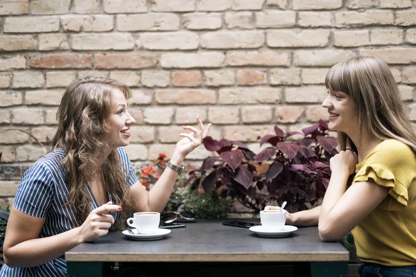 Stijlvolle Jonge Vrouwen Met Vriendelijke Bijeenkomst Met Kopjes Koffie Terwijl — Stockfoto