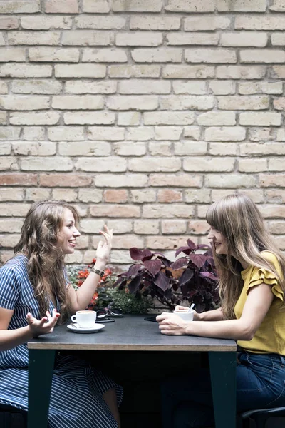 Stijlvolle Jonge Vrouwen Met Vriendelijke Bijeenkomst Met Kopjes Koffie Terwijl — Stockfoto