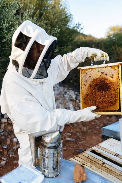 L'apicoltore che lavora colleziona miele. Concetto di apicoltura — Foto Stock