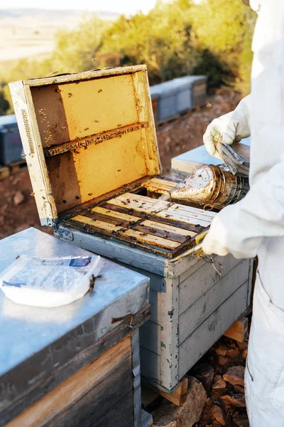 養蜂家が蜂蜜を集める. — ストック写真