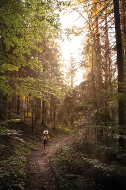 Ormanda tanınmayan kadın