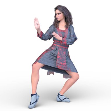 Kung-fu kız / 3d Cg işleme bir Kung-fu kız.