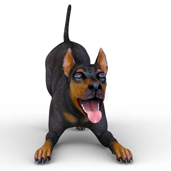 Doberman Renderowania Doberman — Zdjęcie stockowe