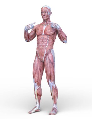 Erkek yatıyordu figürü / 3d Cg işleme bir erkek yatıyordu figür.