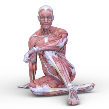 Erkek yatıyordu figürü / 3d Cg işleme bir erkek yatıyordu figür.