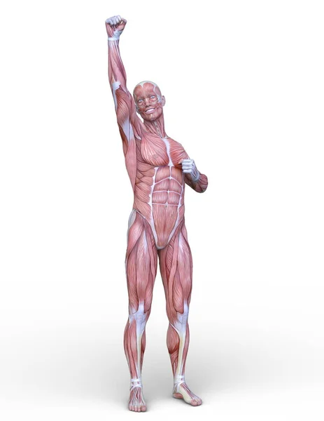 Manliga Lay Figur Rendering Manlig Lay Figur — Stockfoto