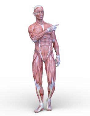 Erkek yatıyordu figürü / 3d Cg işleme bir erkek yatıyordu figür.