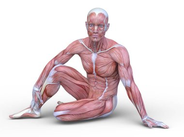 Erkek yatıyordu figürü / 3d Cg işleme bir erkek yatıyordu figür.