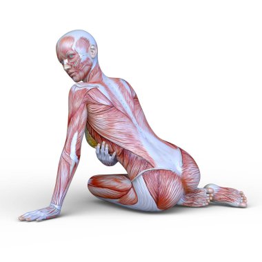 Lay şekil / bir lay şekil 3d Cg render.