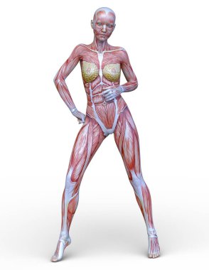 Lay şekil / bir lay şekil 3d Cg render.