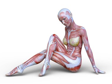 Lay şekil / bir lay şekil 3d Cg render.