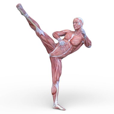 Erkek yatıyordu figürü / 3d Cg işleme bir erkek yatıyordu figür.