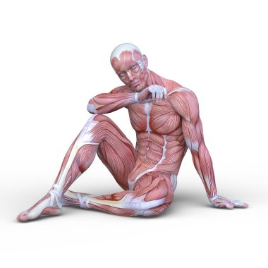 Erkek yatıyordu figürü / 3d Cg işleme bir erkek yatıyordu figür.