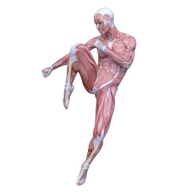 Erkek yatıyordu figürü / 3d Cg işleme bir erkek yatıyordu figür.