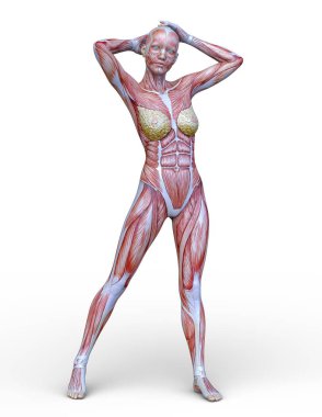 Erkek yatıyordu figürü / 3d Cg işleme bir erkek yatıyordu figür.