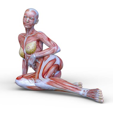 Lay şekil / bir lay şekil 3d Cg render.