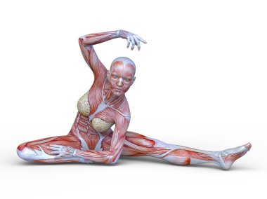 Kas kadının 3D cg işleme