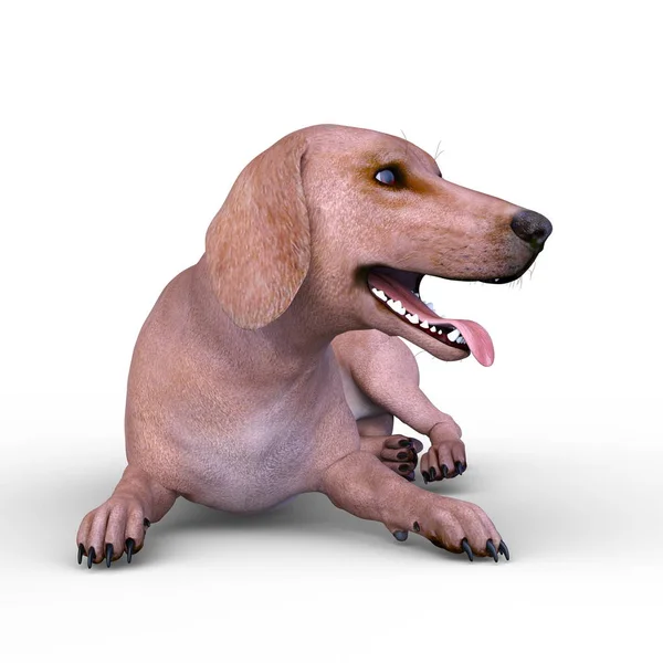 Köpek Render — Stok fotoğraf