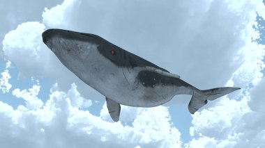 3D cg işleme uçan Whale