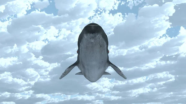 3D CG rendering of Flying whale