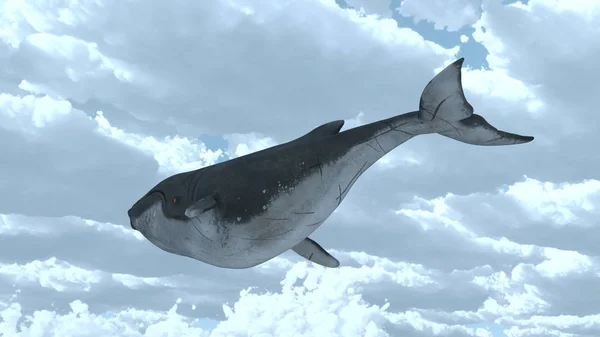空飛ぶクジラの のレンダリング — ストック写真