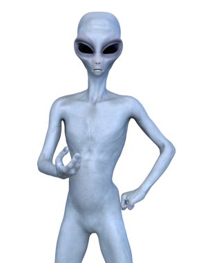 yabancı 3d cg işleme