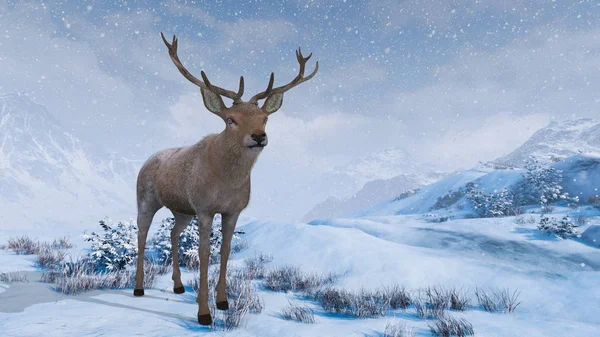 Rendering Deer — Stock Photo, Image