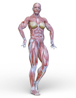 Kas kadının 3D cg işleme