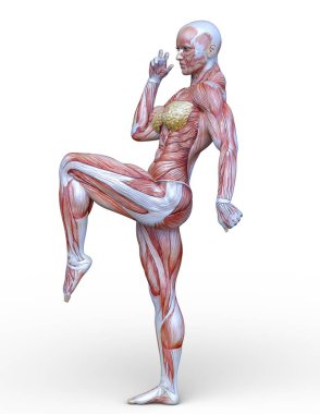 Kas kadının 3D cg işleme