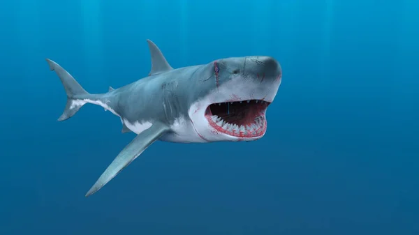 Rendering Shark — Stock Photo, Image