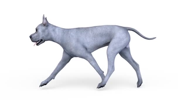 3D rendu 3D du chien 