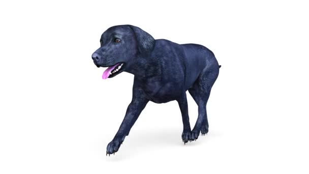 3D rendu 3D du chien 
