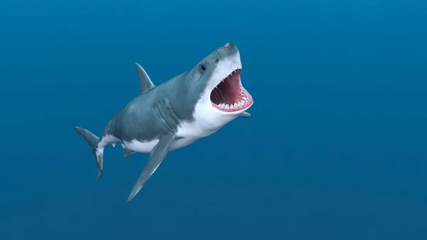 Rendering Shark — Stock Photo, Image