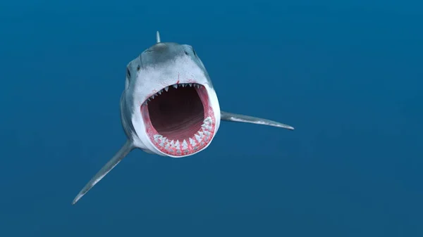 Rendering Shark — Stock Photo, Image