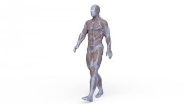 3D cg işleme kahraman