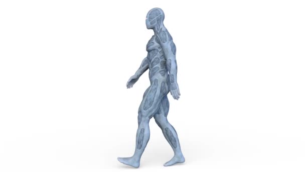 3D rendu 3D du héros 