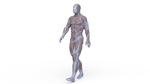 3D rendu 3D du héros 