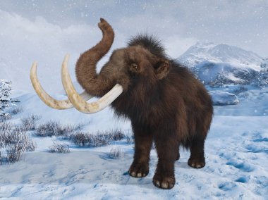 mamut 3D cg işleme