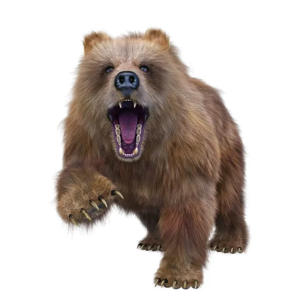 Rendering Bear — Foto Stock