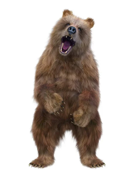 Rendering Bear — Foto Stock