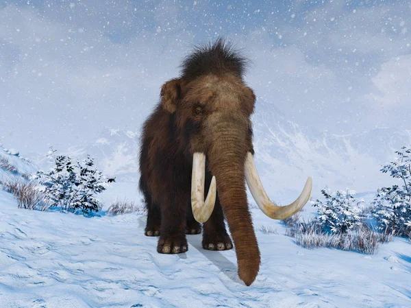 Darstellung Von Mammut — Stockfoto