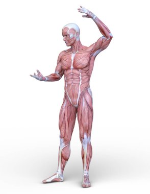 adale adam 3D cg render