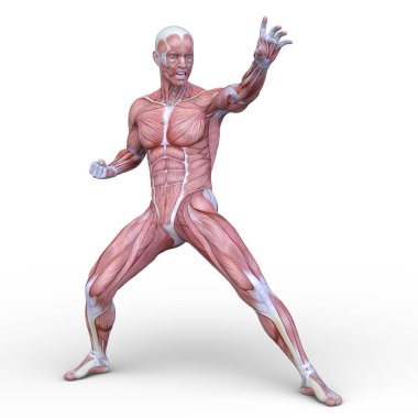 adale adam 3D cg render