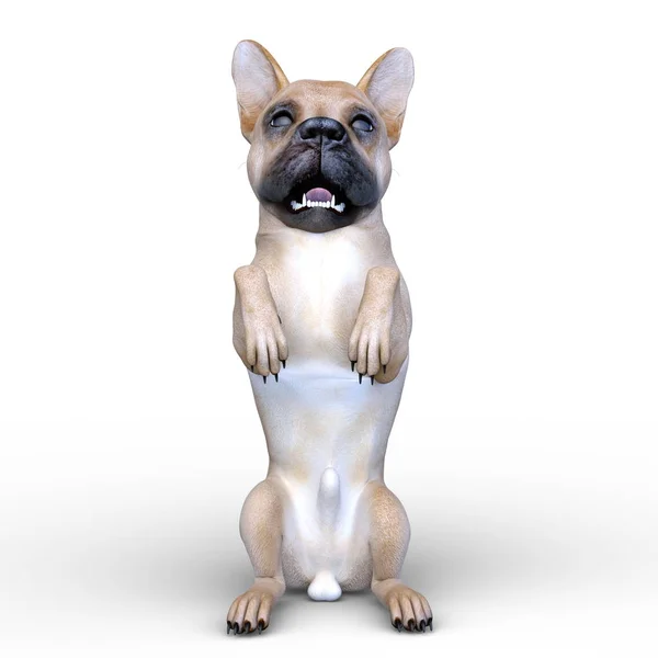 Köpek Render — Stok fotoğraf