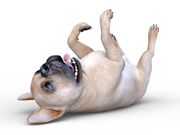 3D CG rendering of dog